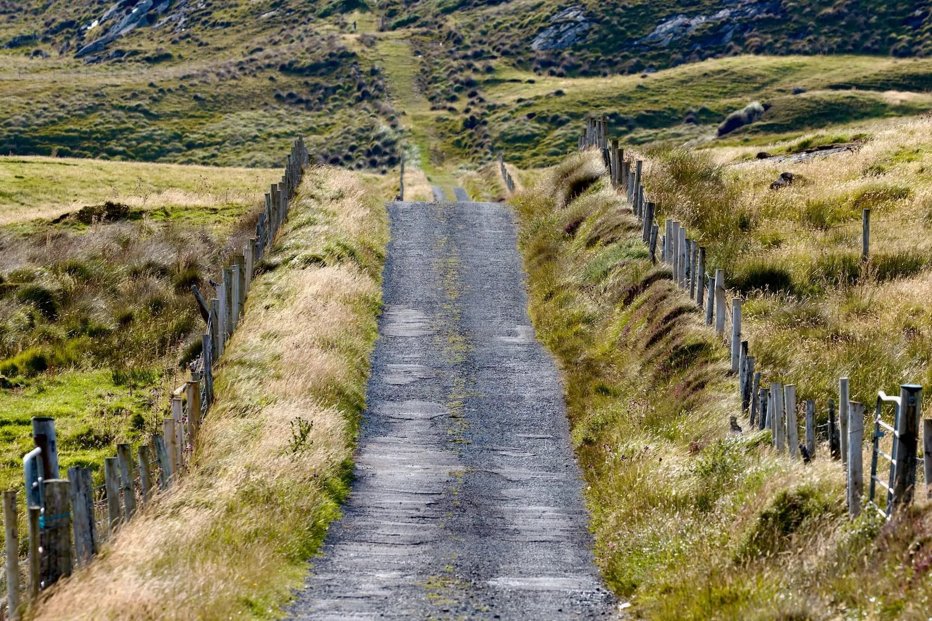 Scenic country road through Donegal countryside